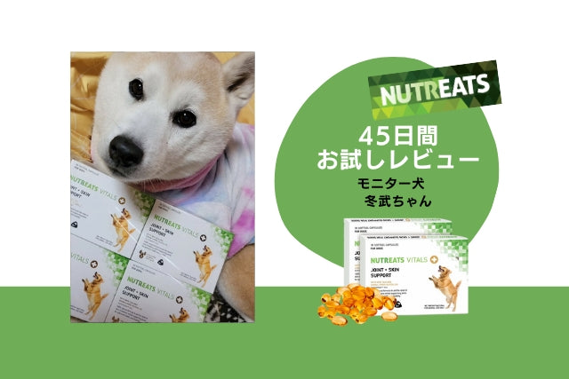 ニュートリーツ/45日間お試しレビュー