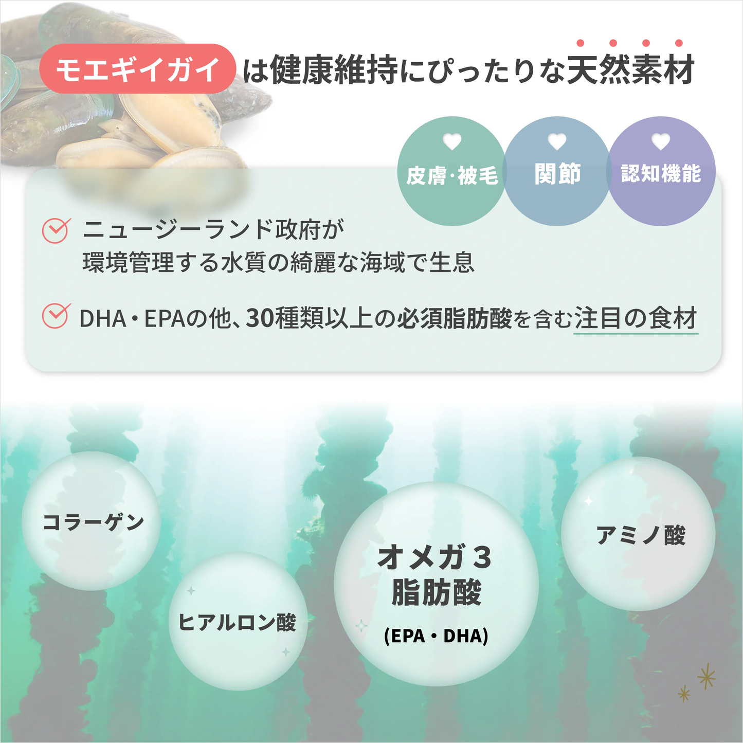 モエギイガイはコラーゲン、ヒアルロン酸、オメガ3脂肪酸、アミノ酸を含み、関節や認知機能、皮膚被毛の健康維持に効果が期待される注目の天然素材!ニュートリーツサプリは1粒に50mgの広報度処方
