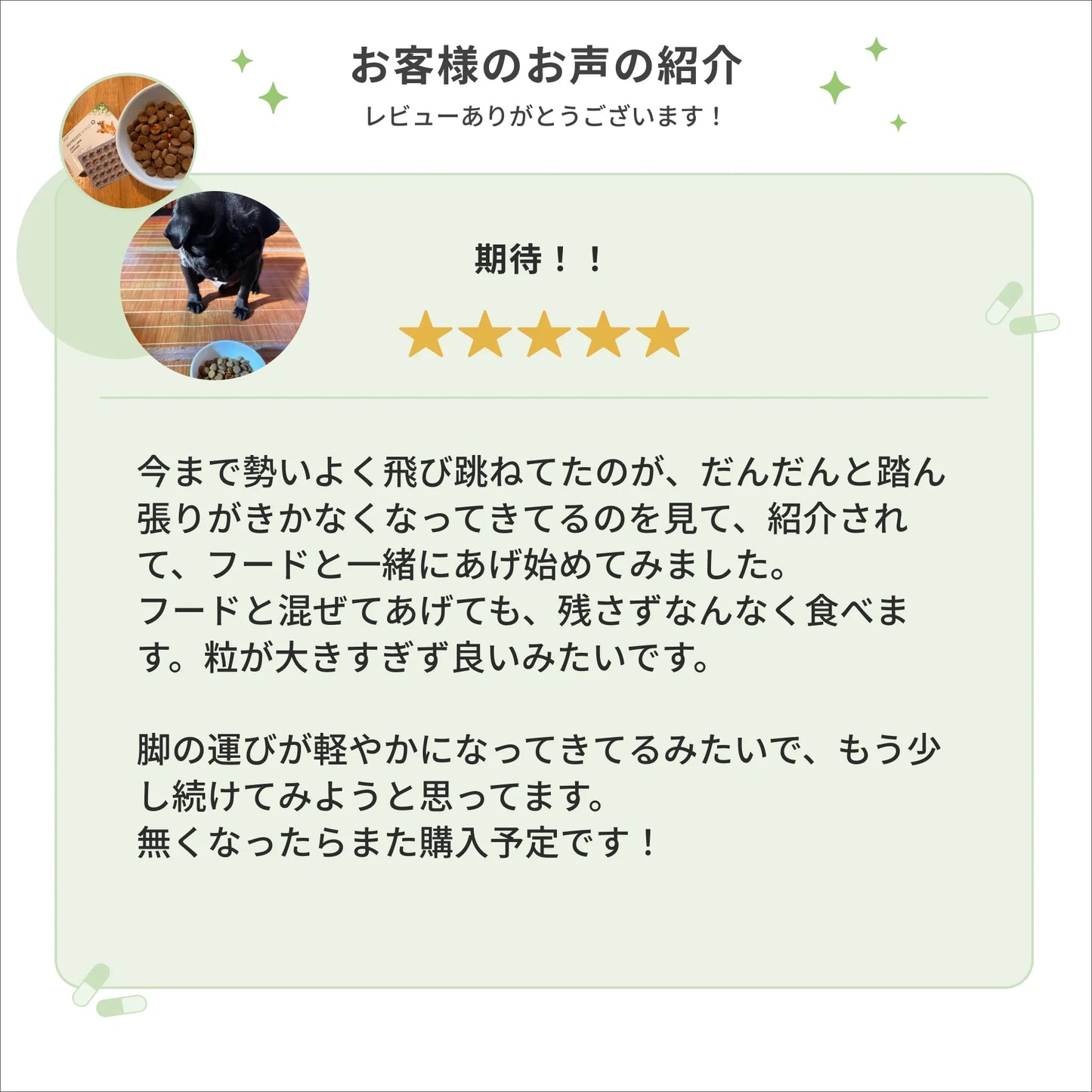 ニュートリーツ バイタルズプラス 犬用 オメガ3 関節皮膚サポート サプリメント