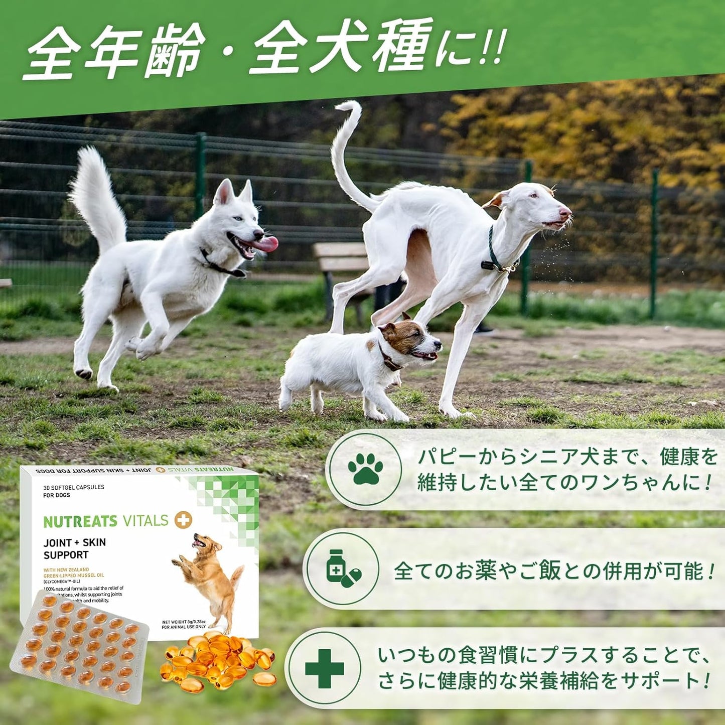 ニュートリーツ バイタルズプラス 犬用 オメガ3 関節皮膚サポート サプリメント