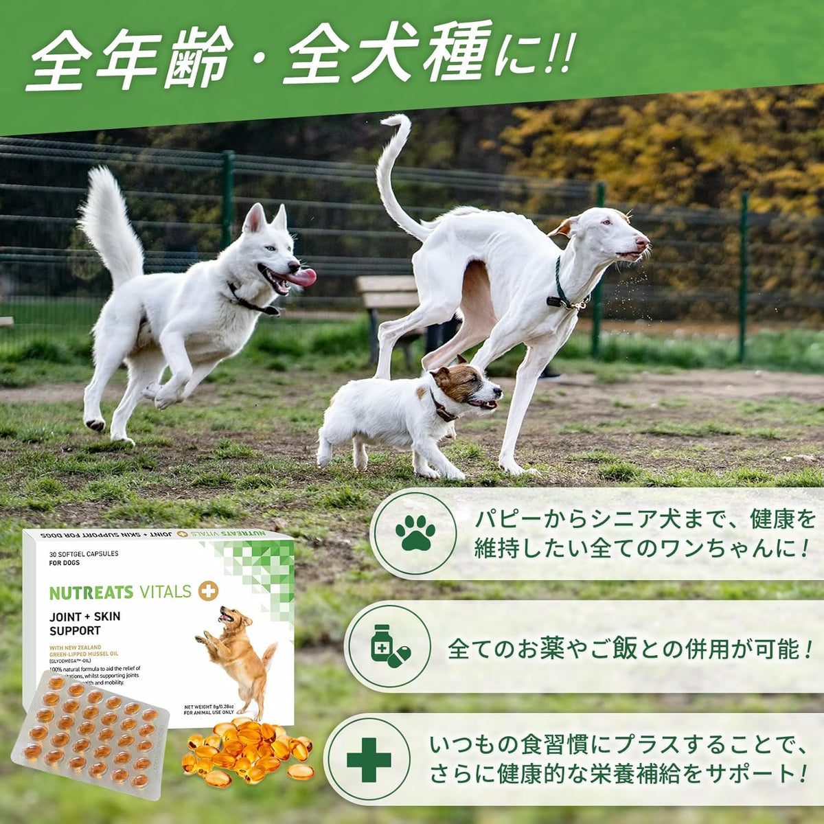 ニュートリーツ バイタルズプラス 犬用 オメガ3 サプリメント関節皮膚の健康維持に