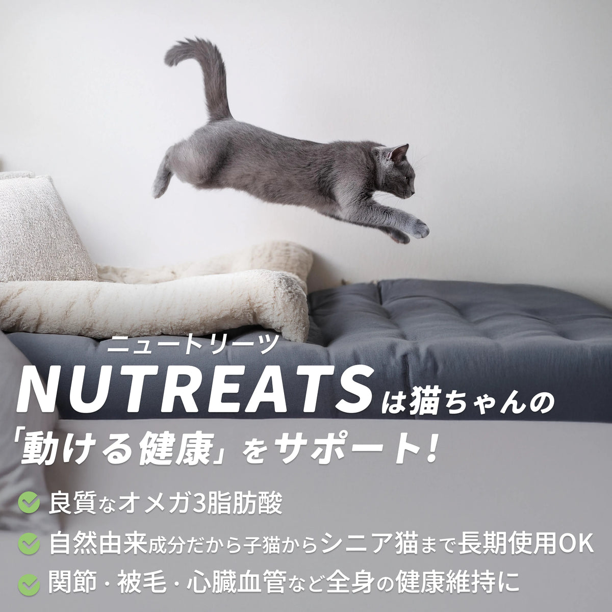ニュートリーツ バイタルズプラス 猫用 オメガ3 サプリメント 関節皮膚の健康維持に