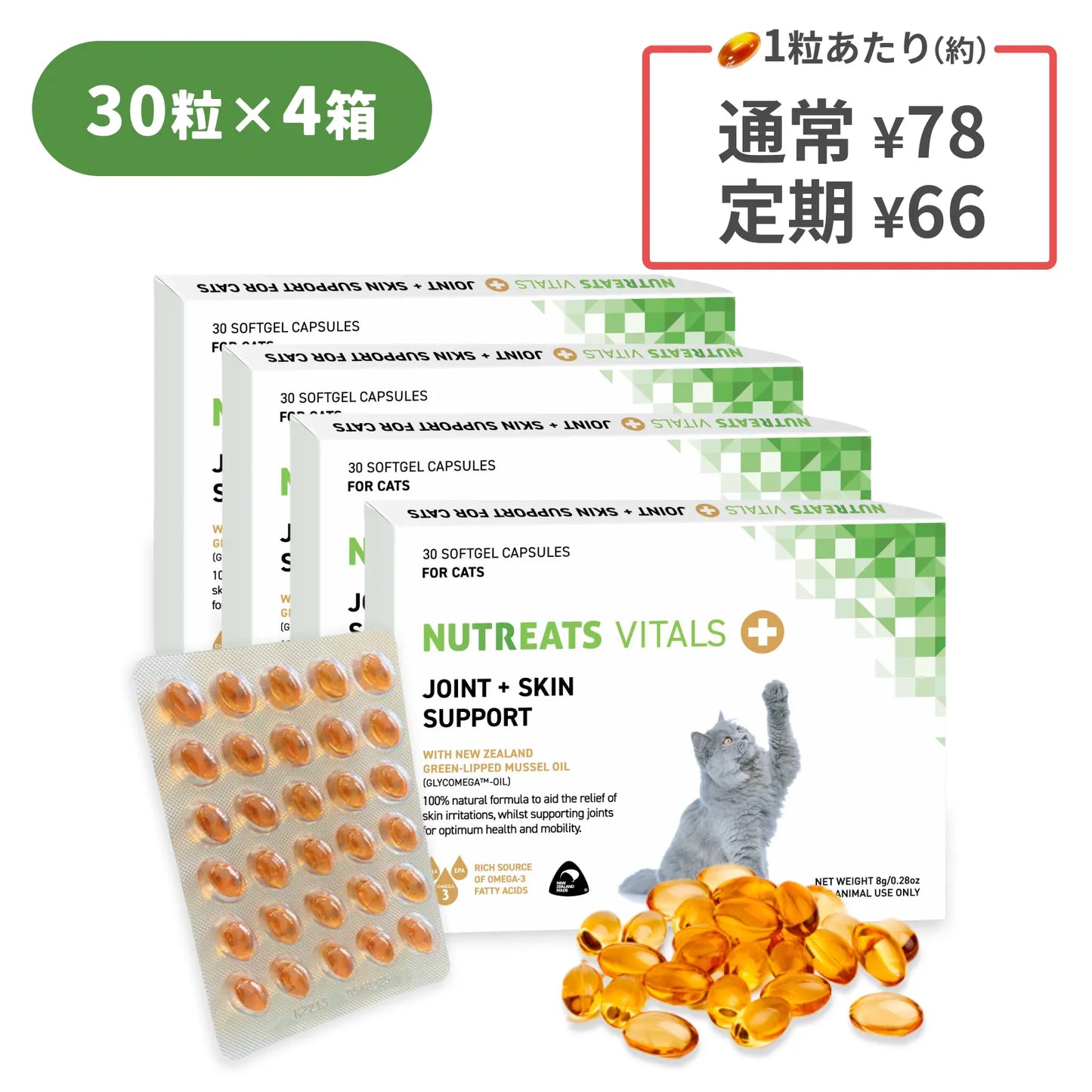 猫用オメガ3サプリメント 関節皮膚サポート