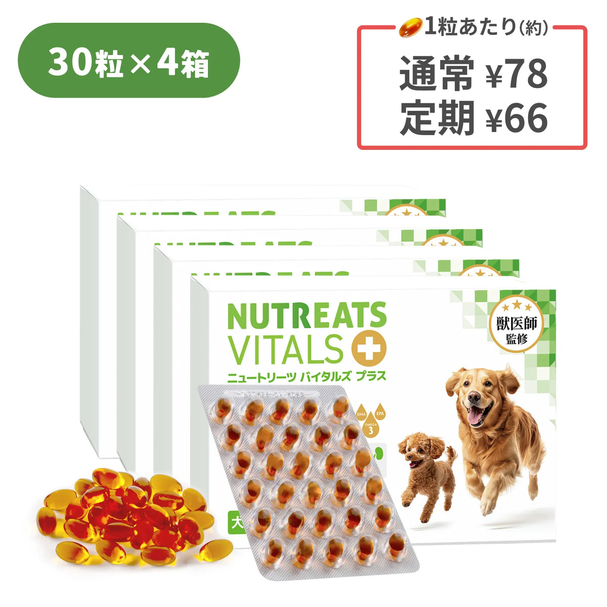 ニュートリーツ バイタルズプラス 犬用 オメガ3 サプリメント関節皮膚の健康維持に