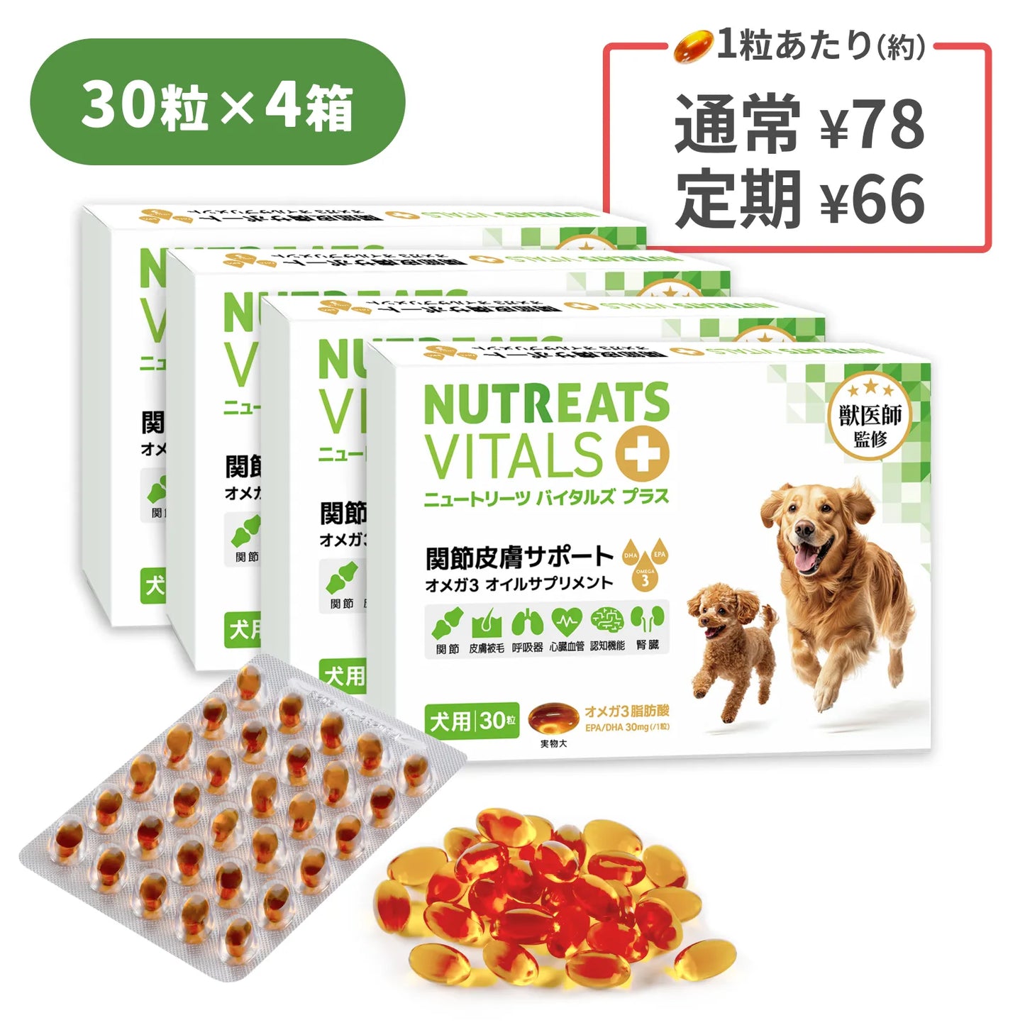 ニュートリーツ バイタルズプラス 犬用 オメガ3 関節皮膚サポート サプリメント