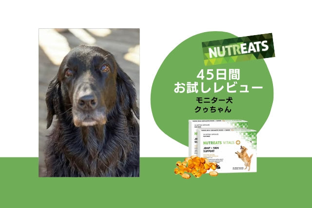 ニュートリーツ/45日間お試しレビュー