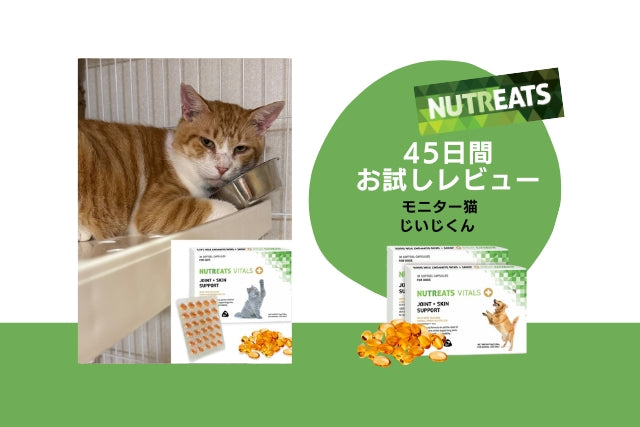 ニュートリーツ/45日間お試しレビュー