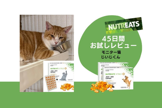 ニュートリーツ/45日間お試しレビュー