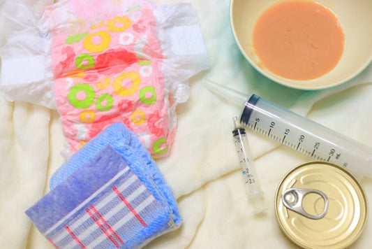 寝たきりの猫の介護ガイド｜食事・排泄・床ずれ予防の具体的なケア方法