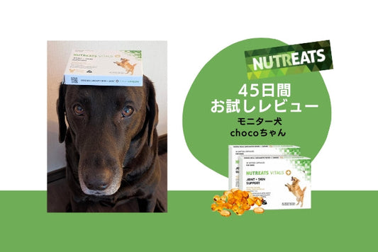 NUTREATS｜45日間お試しレビュー