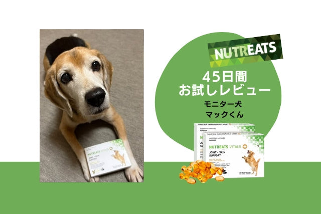 オメガ3サプリメント 関節皮膚サポート 犬猫用 – NUTREATS JP
