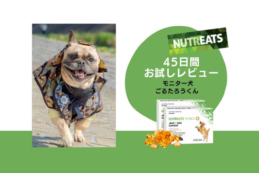 NUTREATS｜45日間お試しレビュー