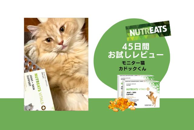ニュートリーツ/45日間お試しレビュー