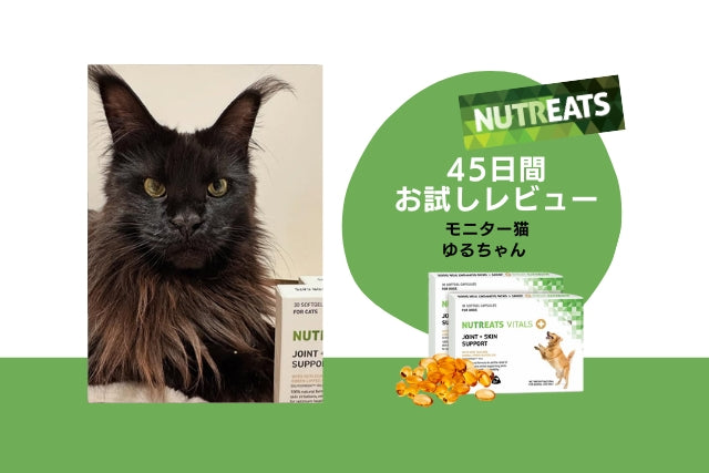 ニュートリーツ/45日間お試しレビュー