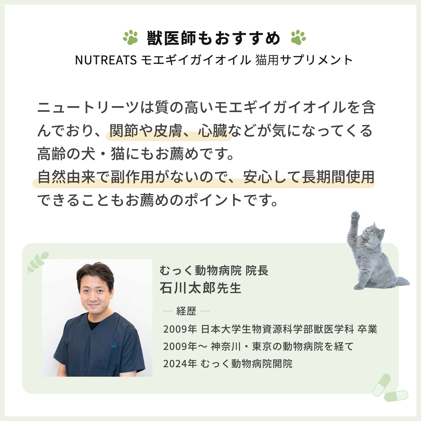 猫用オメガ3サプリメント 関節皮膚サポート