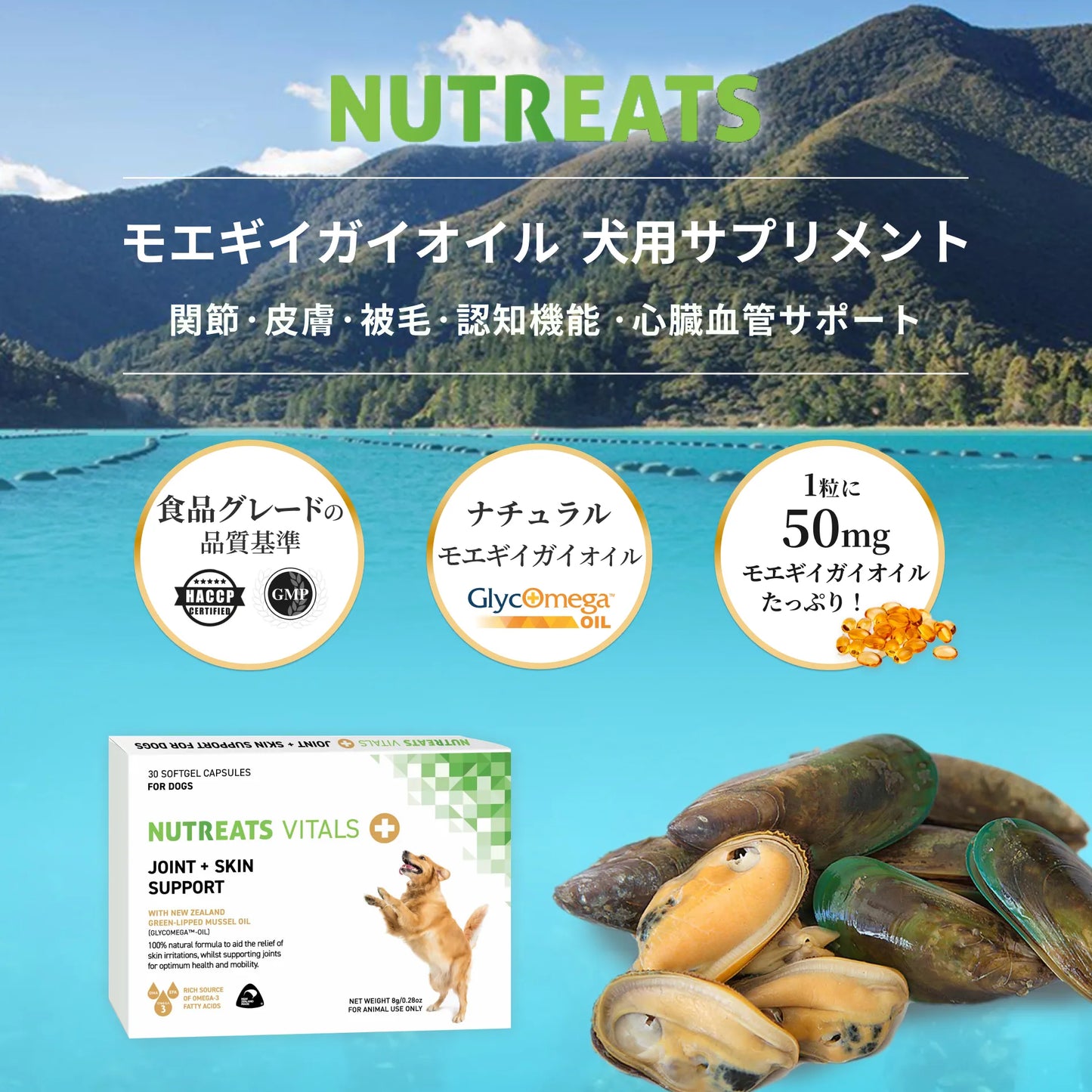 NUTREATS モエギイガイオイル 犬用サプリメント