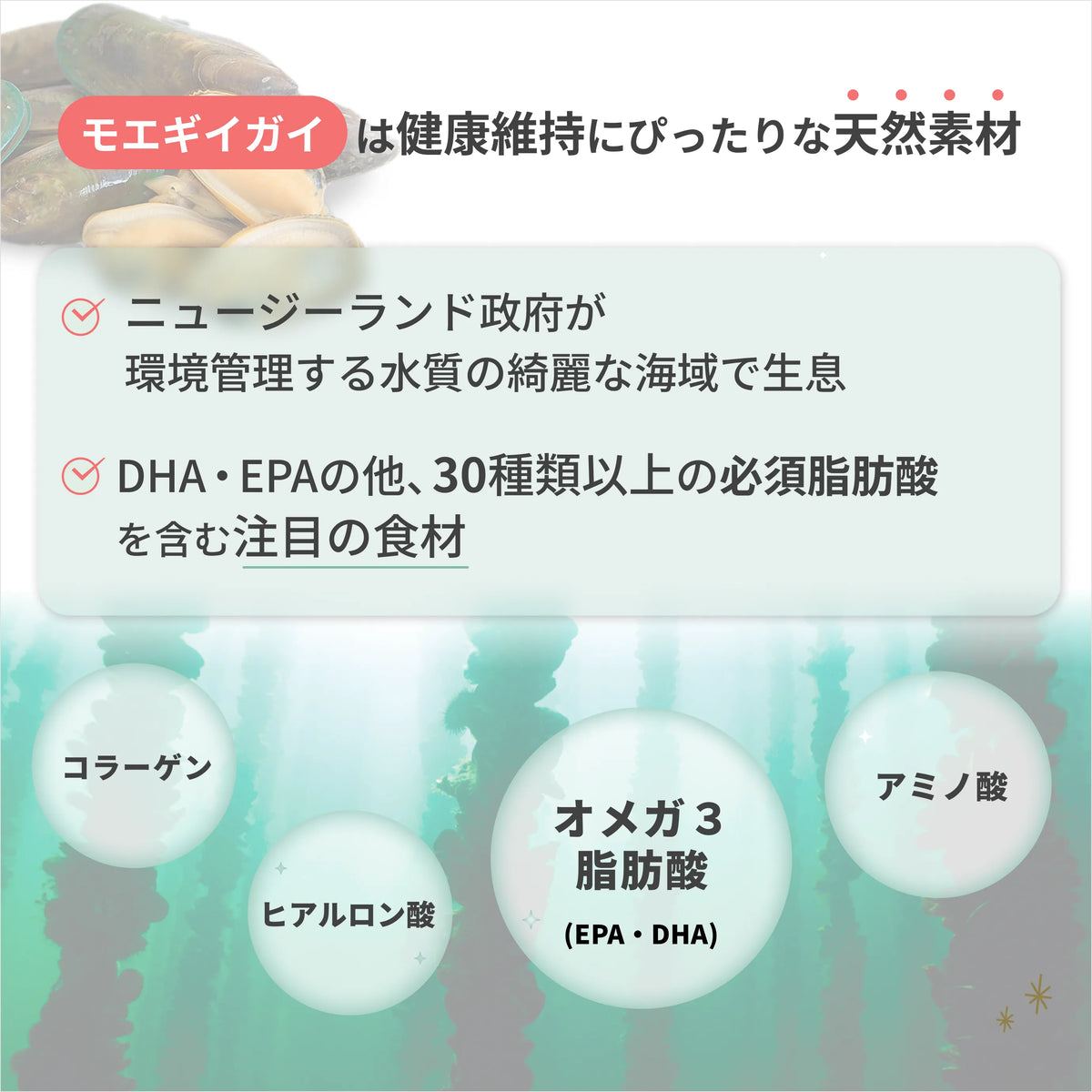 獣医師監修】猫用 モエギイガイ サプリ｜ニュートリーツ バイタルズ