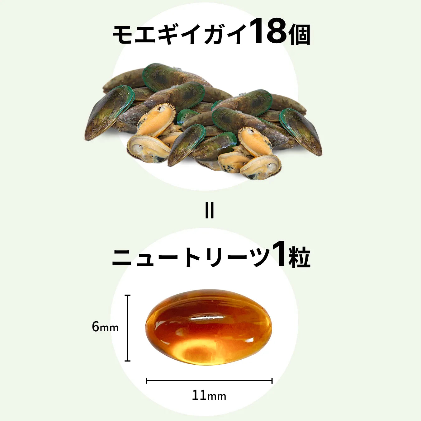 モエギイガイ約18個をニュートリーツ1粒に凝縮