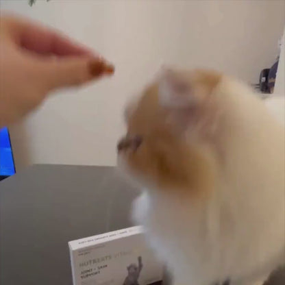 ニュートリーツ バイタルズプラス 猫用 オメガ3 関節皮膚サポート サプリメント