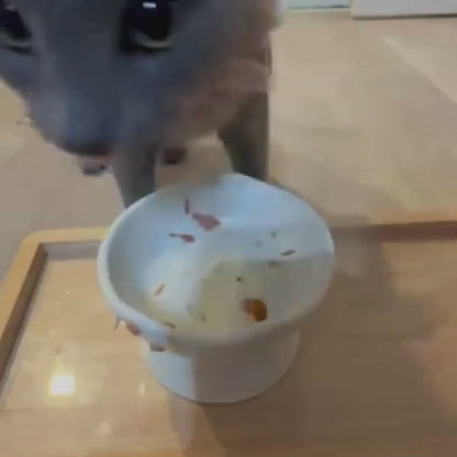 ニュートリーツ バイタルズプラス 猫用 オメガ3 関節皮膚サポート サプリメント